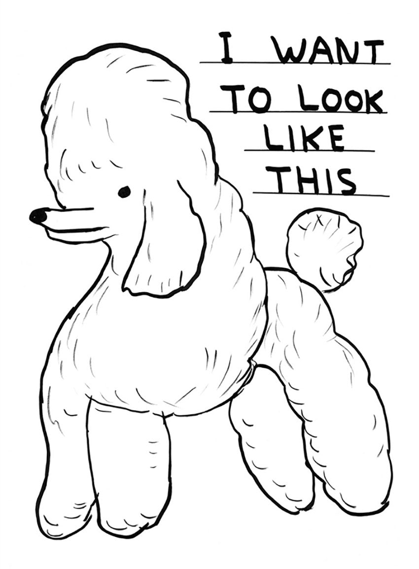 David Shrigley | Lougher Contemporary